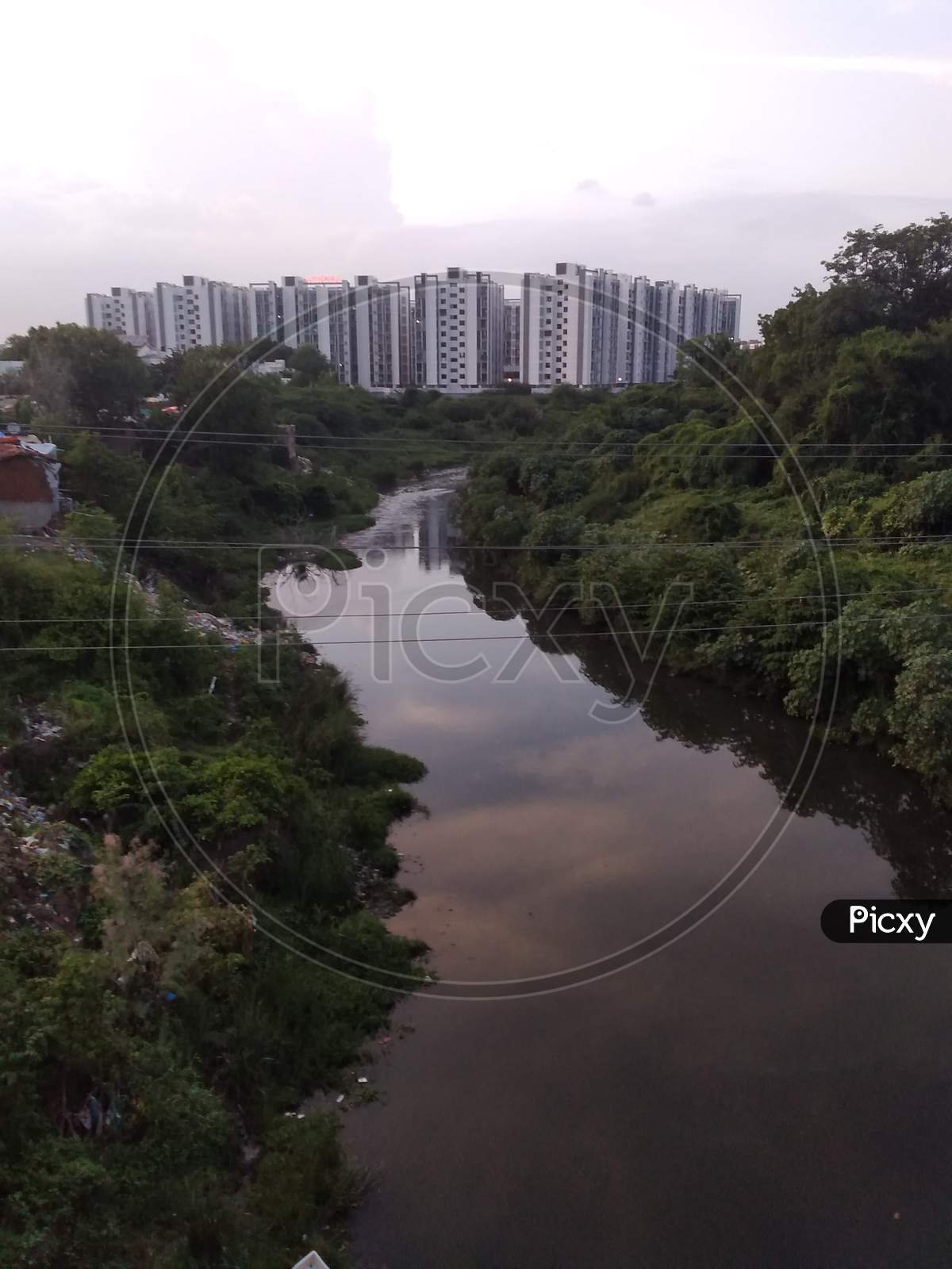 Image of vishwamitri river Vadodara-GV797402-Picxy