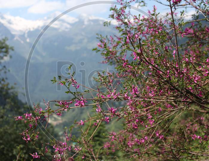 Beautiful view of Himalayan mountains, Kasol, Parvati valley, Himachal Pradesh, northern India