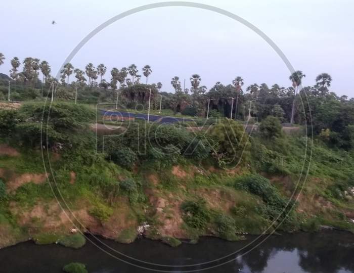 Vishwamitri river and forest