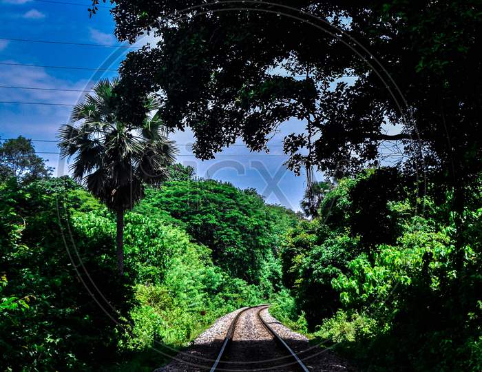 A Picture Of Railway Track With Trees Beside . The Shadow Of The Tree Is Falling On The Railway Track