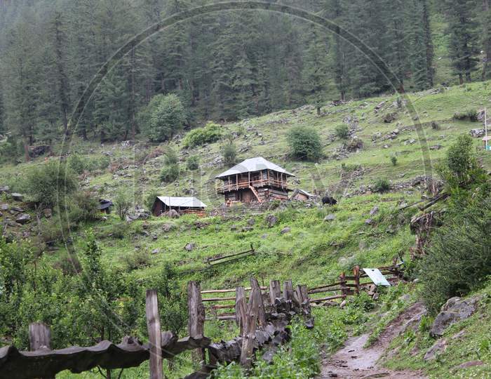 An entrance to a lush green Forest at Malana,Kutla,kasol, Himachal Pradesh, India