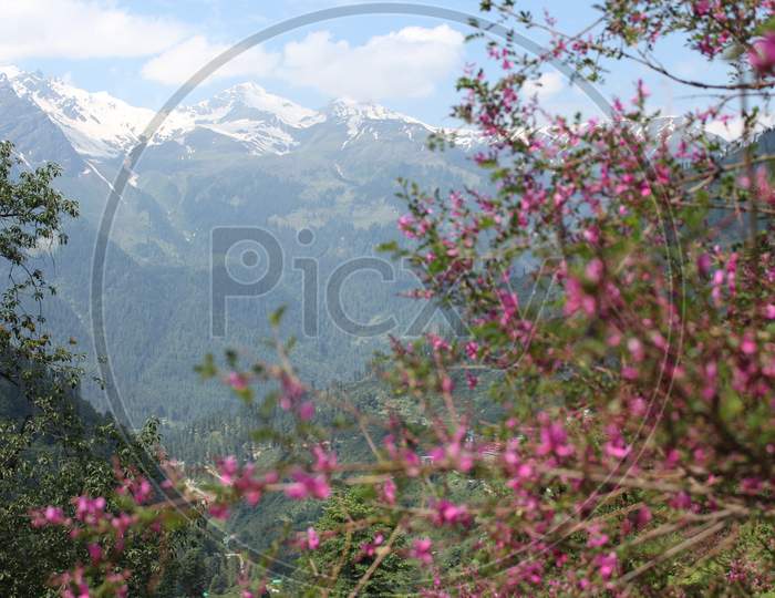 Beautiful view of Himalayan mountains, Kasol, Parvati valley, Himachal Pradesh, northern India