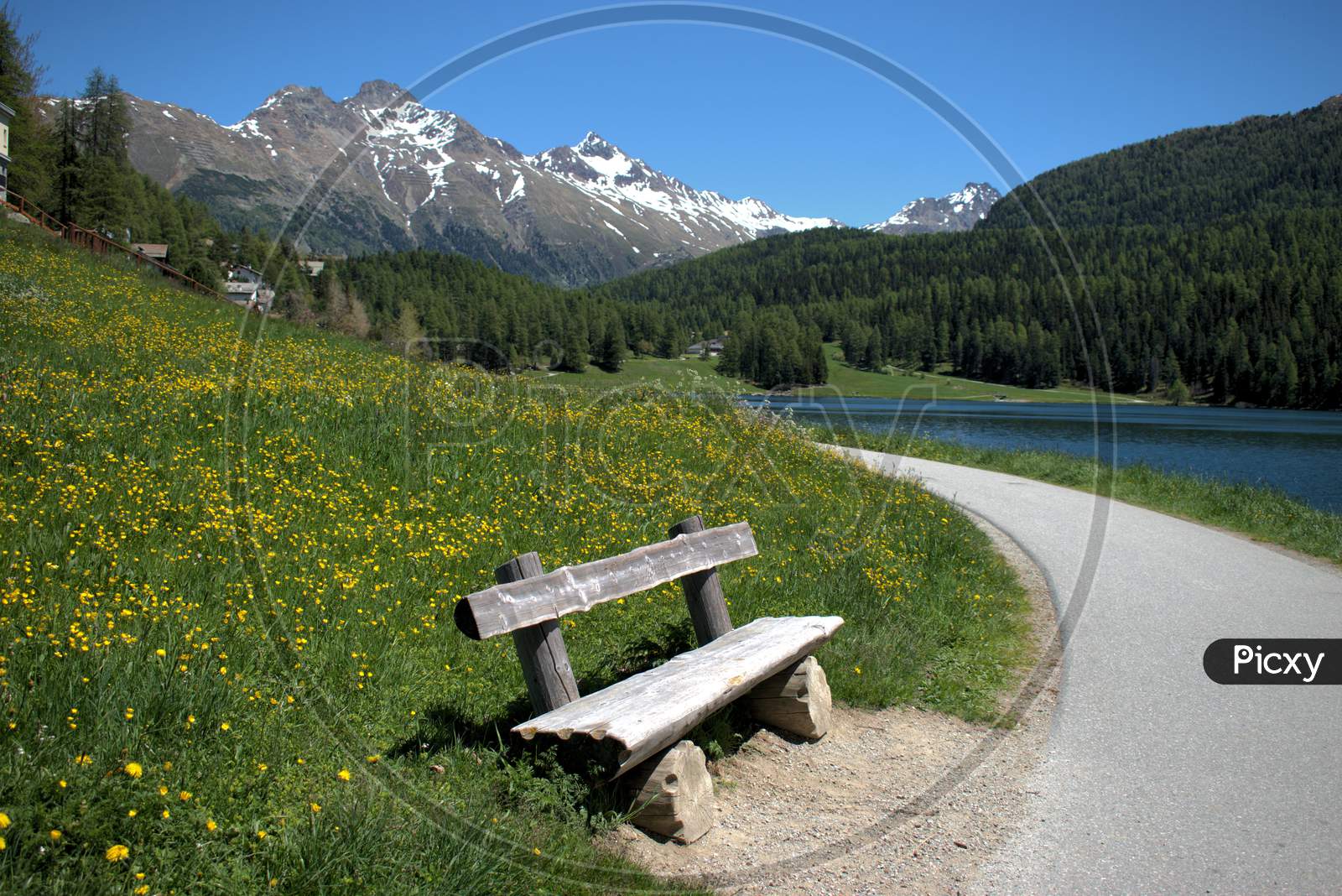 Empty bench a the lake in Saint Moritz Switzerland 27.5.2020