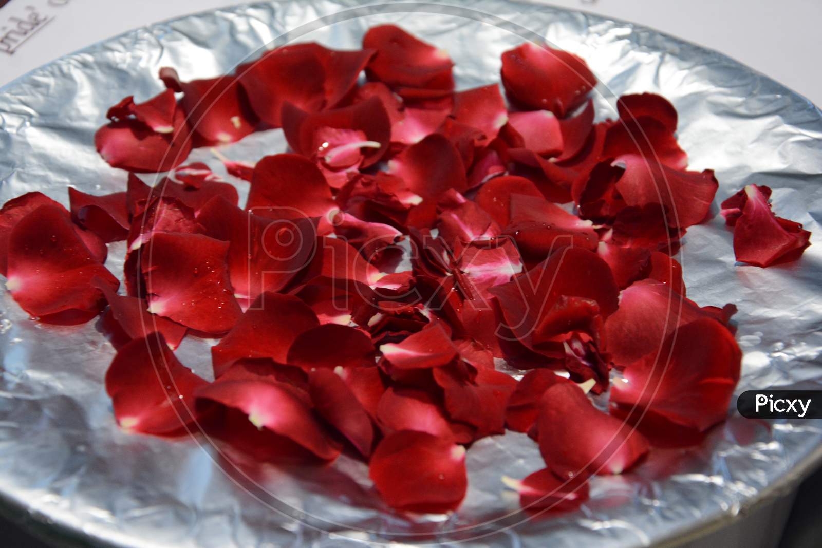 red rose petals on a plate
