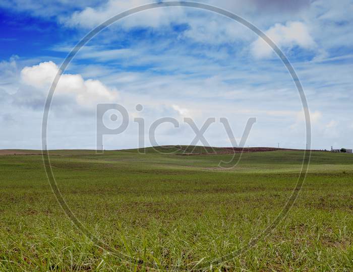 green field with blue sky on the tropical island of Mauritius.
