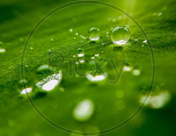 water drops with green background HD.
