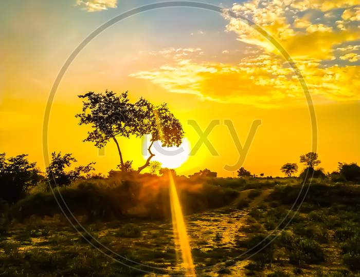 Beautiful Landscape Of A Lonely Tree In A Field Of Sunset