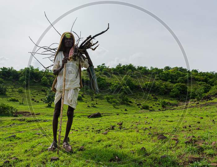 Old Man Carrying sticks for his daily needs in greenfields of vikarabad