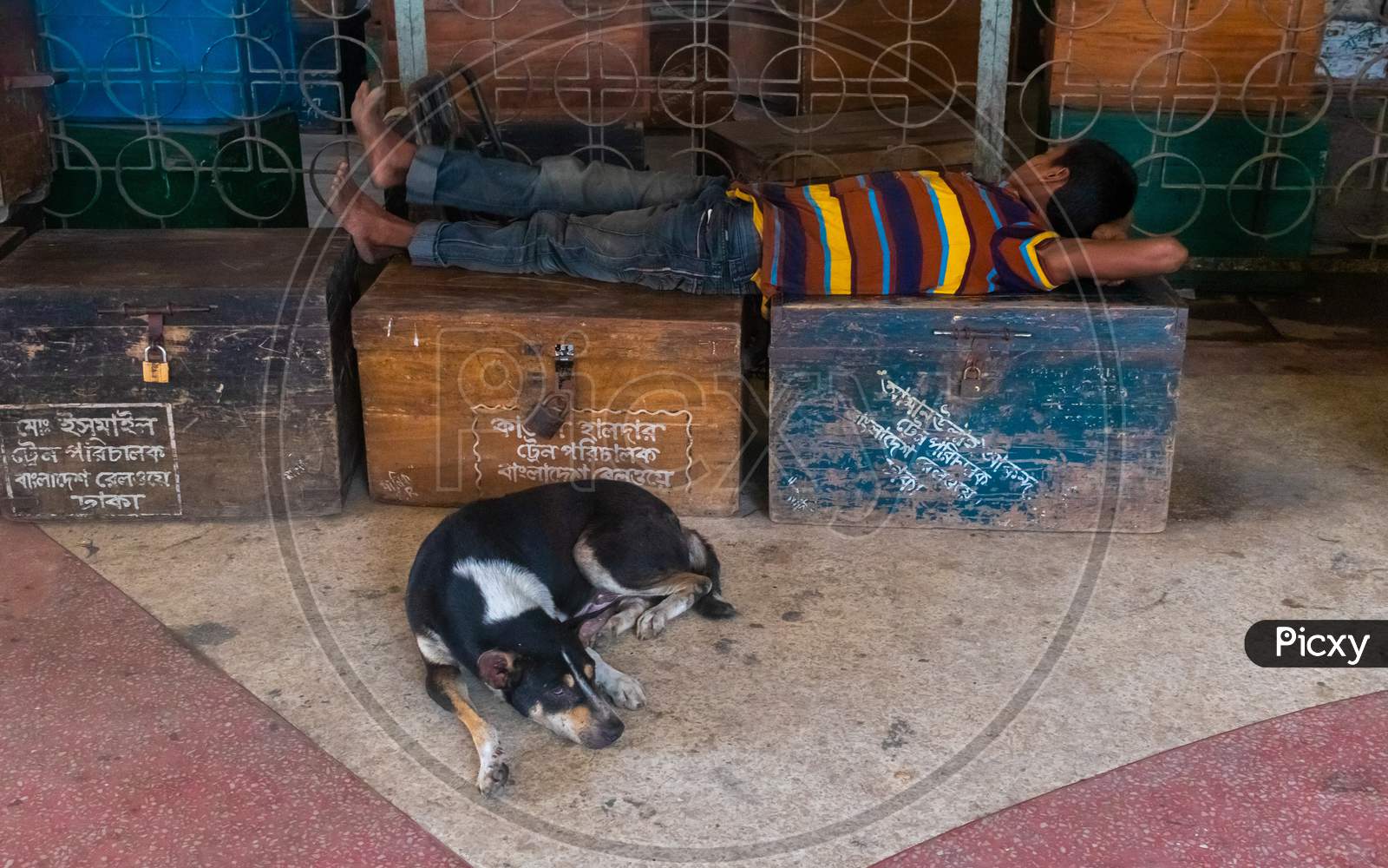 A Dog And A Man Sleeping Due To Corona Virus , There Is No Work No Food . I Captured This Image From A Railway Station, Its Called Kamalapur Railway Station . Dhaka, Bangladesh