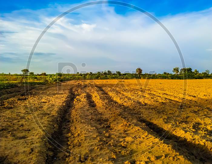 Scenic View Of Field Against Blue Sky