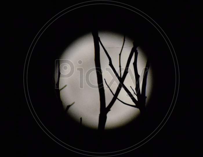 Super Moon In May Behind Tree Leaves, The Moon Hide Behind A Tree