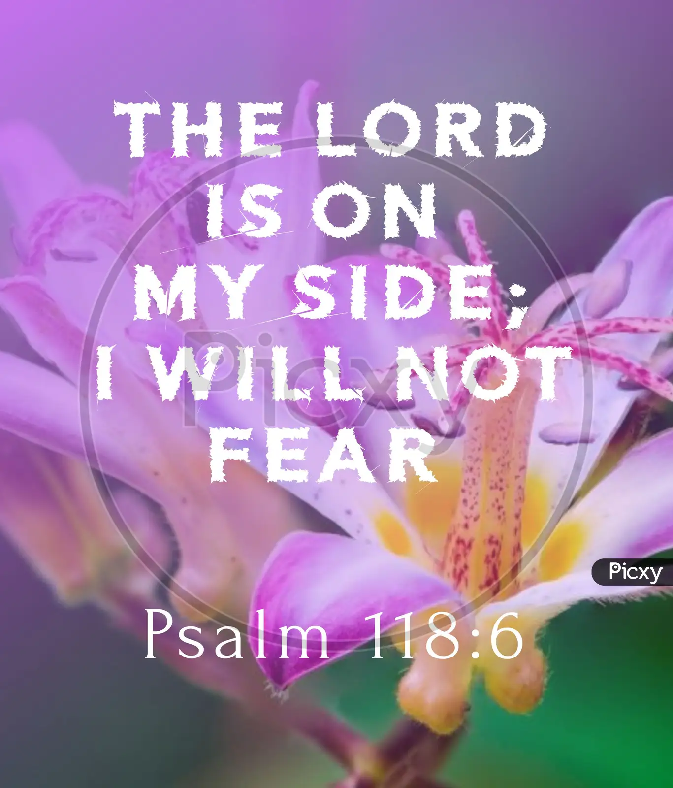 Psalm 118:6 The LORD is on my side; I will not be afraid. What can