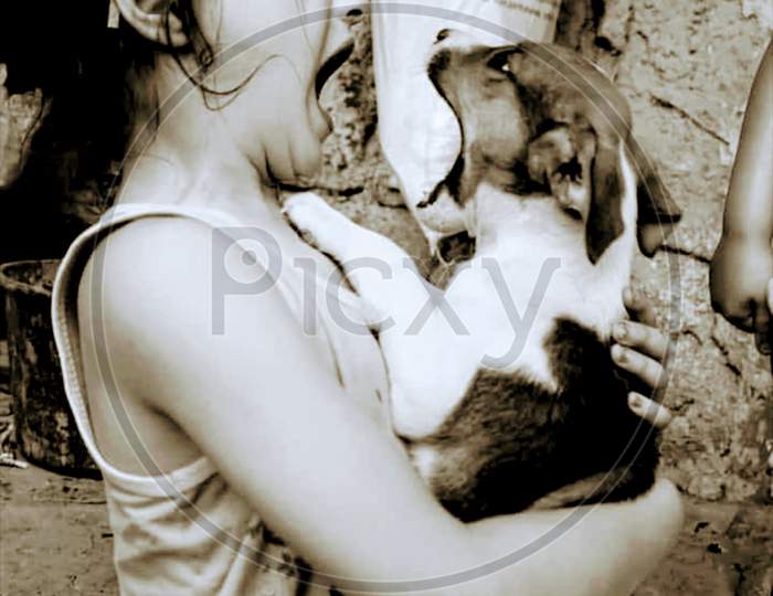 Love with animals