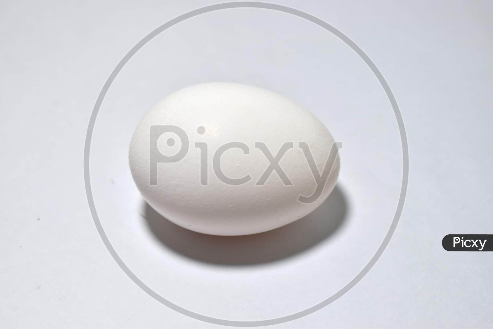 Single white chicken egg isolated on white background. Raw egg.