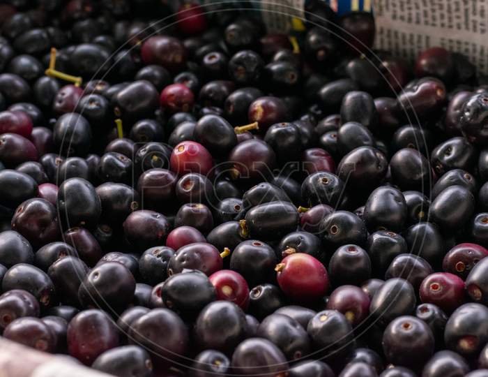 Collected fresh Jamun, Indian blueberry or black plum fruits after picking from the trees