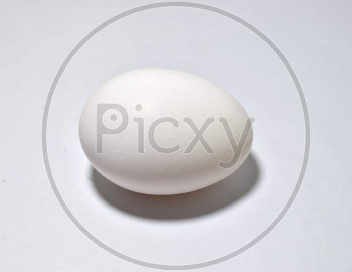 Single white chicken egg isolated on white background. Raw egg.