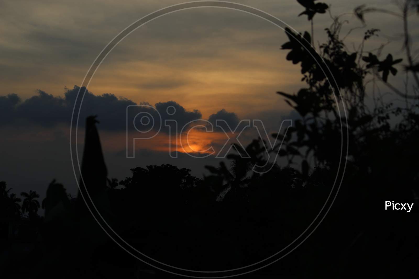 Silhouette of leaves with sun set and orange blurred background.