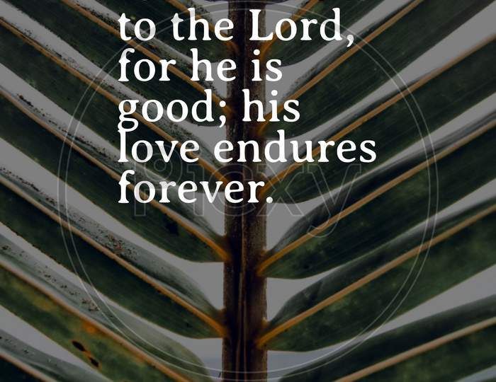 Bible Words  1 Chron Icles 16:34 " Give Thanks To The Lord, For He Is Good ; His Love Endure Forever "