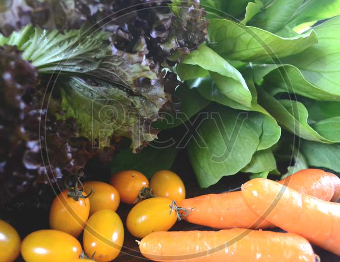Red Carrot, Yellow Tomato, Green Caisim And Purple Lettuce
