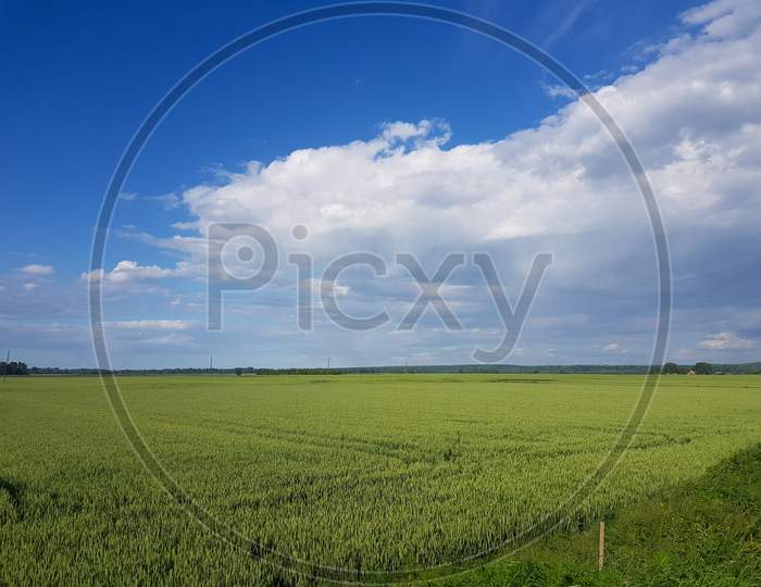 Beautiful Scenery Of A Green Grassy Land Under A Cloudy Sky