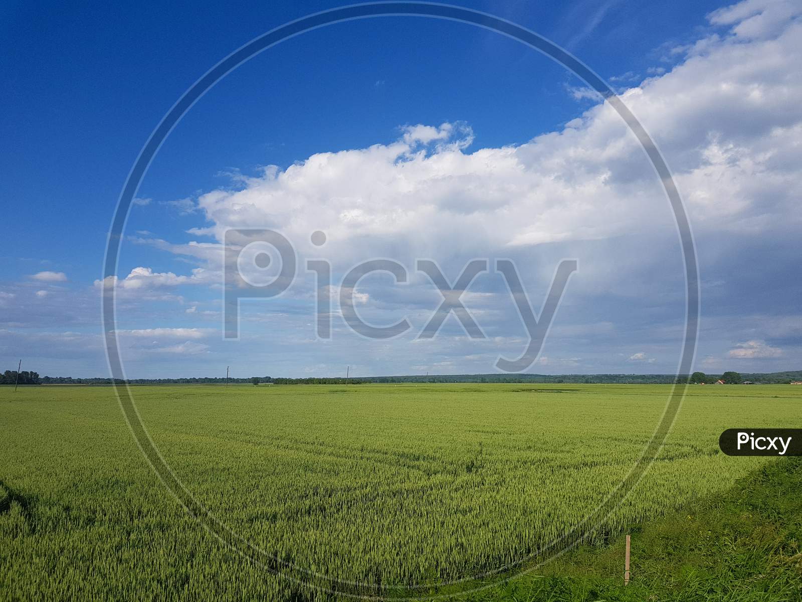 Beautiful Scenery Of A Green Grassy Land Under A Cloudy Sky