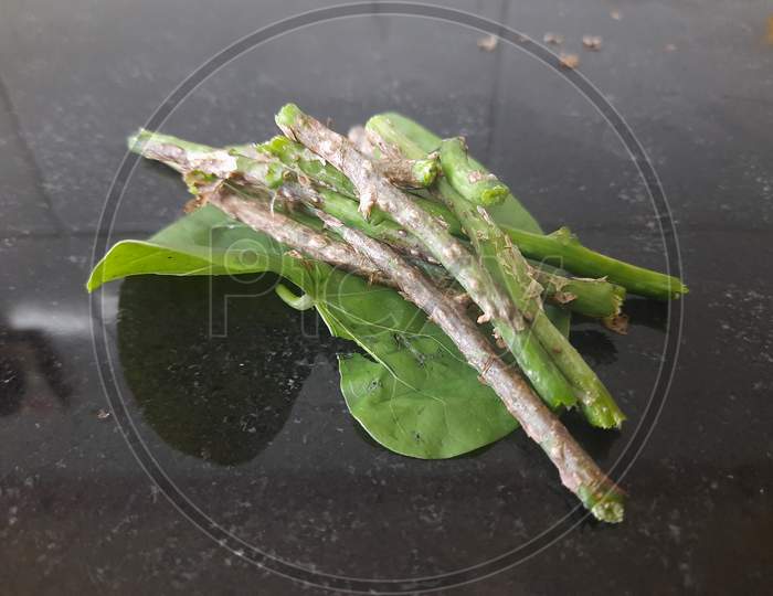Tinospora cordifolia or Giloy whit leaves.