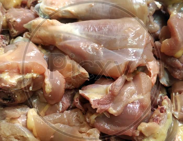 Raw chicken meat cuts