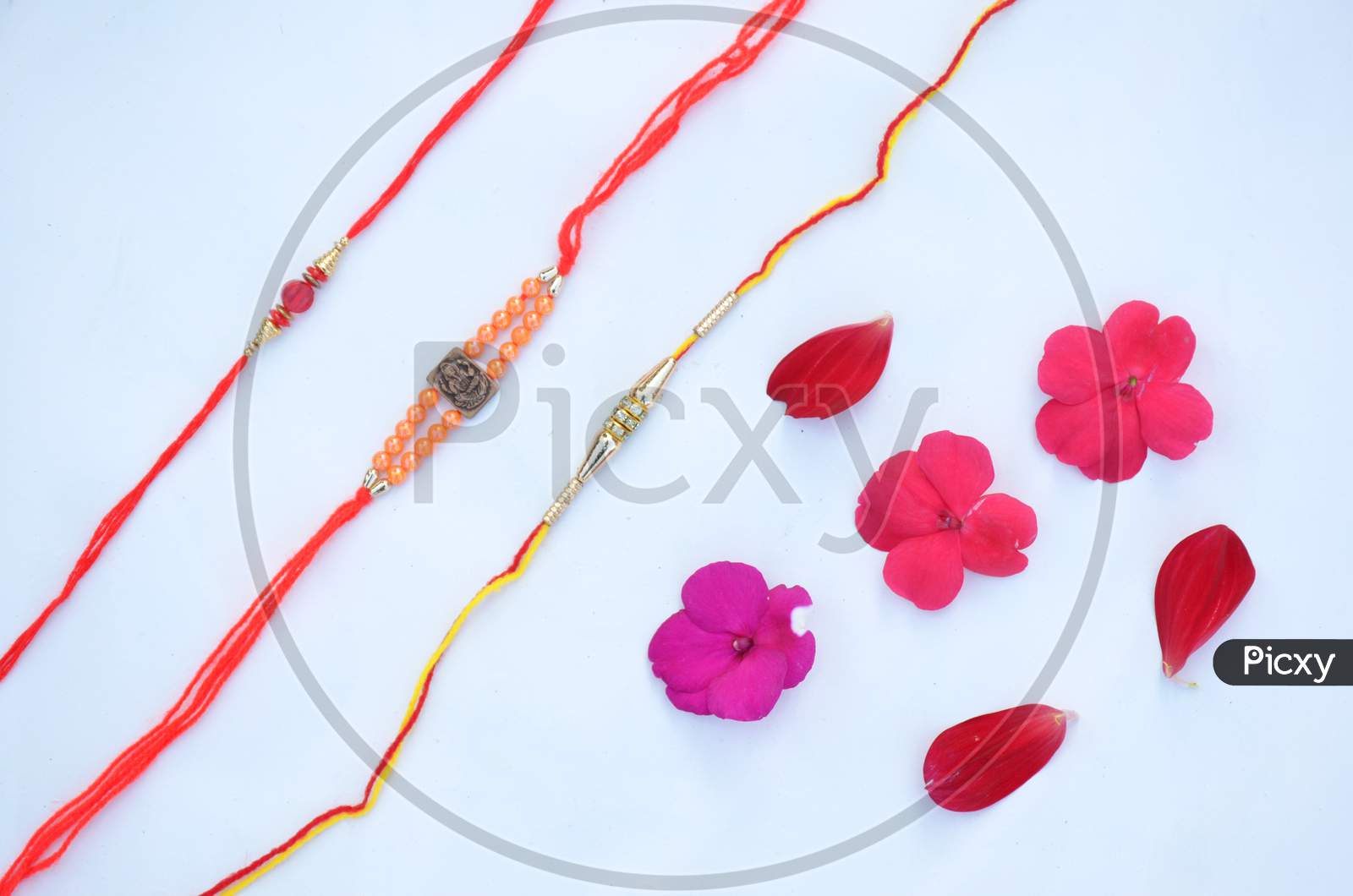 the colorfull rakhi  with flower  isolated on white background.