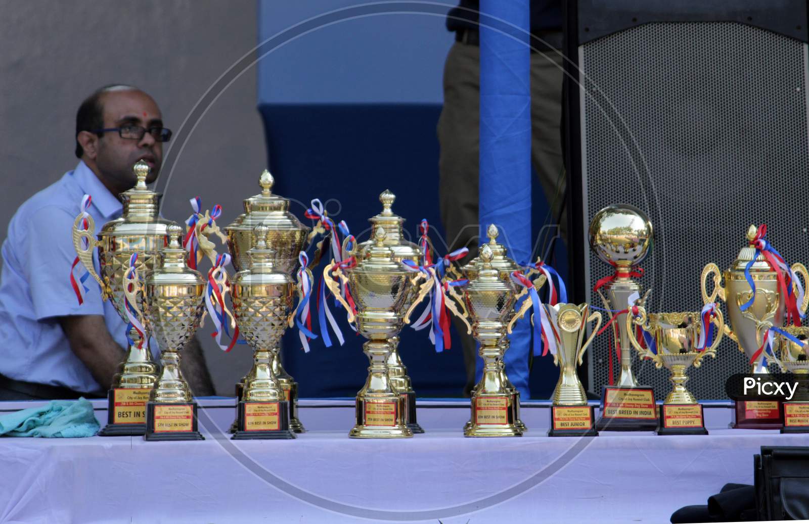 Various metal trophy display on a 'Dog Show' competition organise by 'Madhyamgram City of Joy Kennel Club' at Madhyamgram, N.24 PGS.