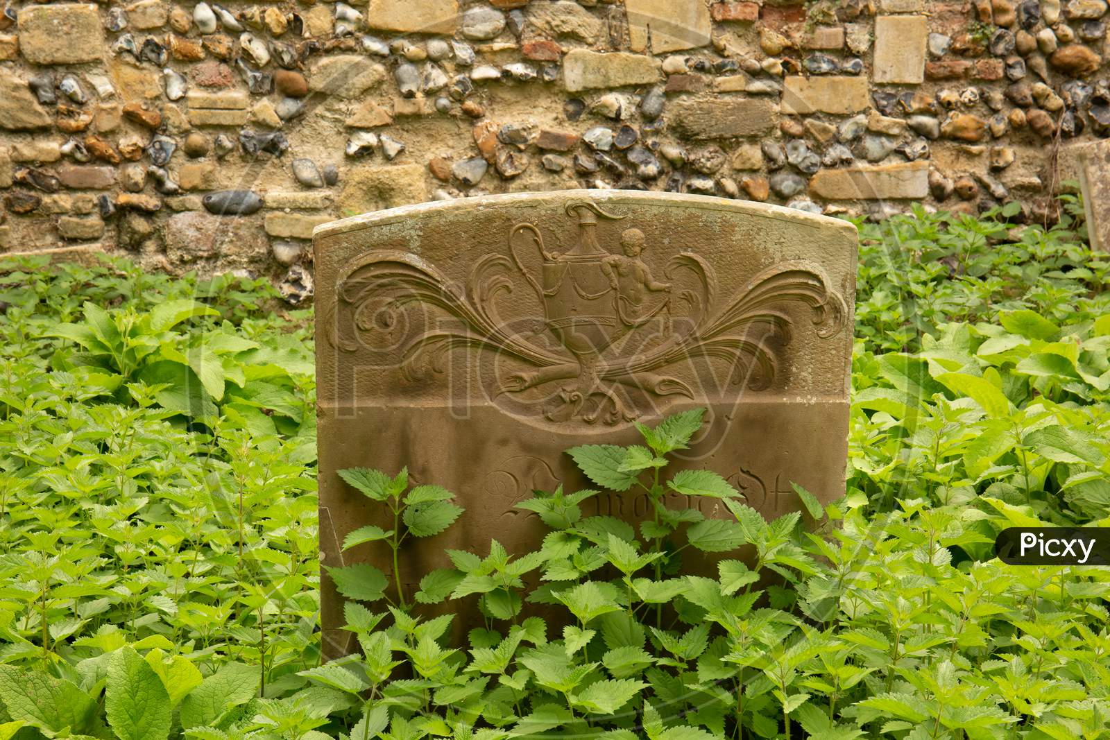 Ornate Weathered Grave Stone Overgrown By Stinging Nettles. Hori