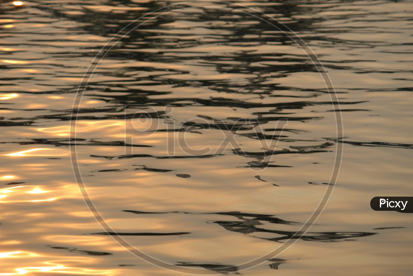 Floating golden color water with sunlight reflection looking beautiful after sunset.