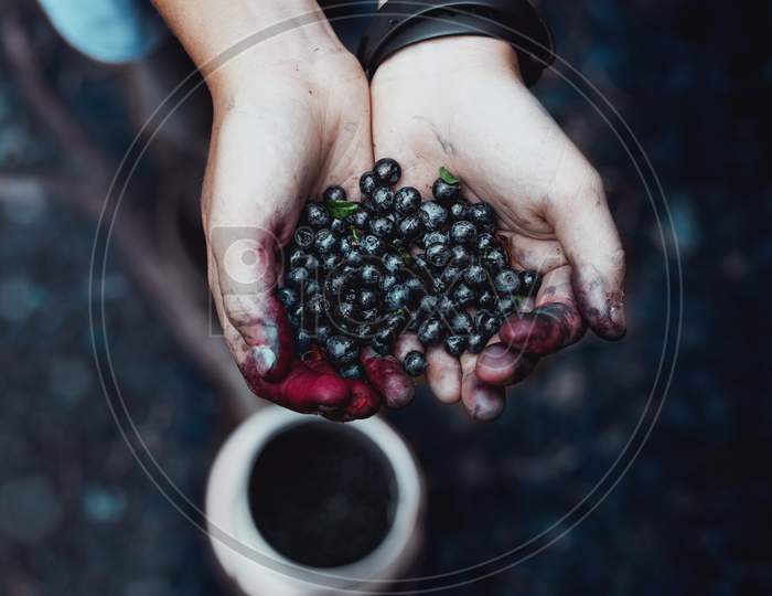 Hands full of berries.