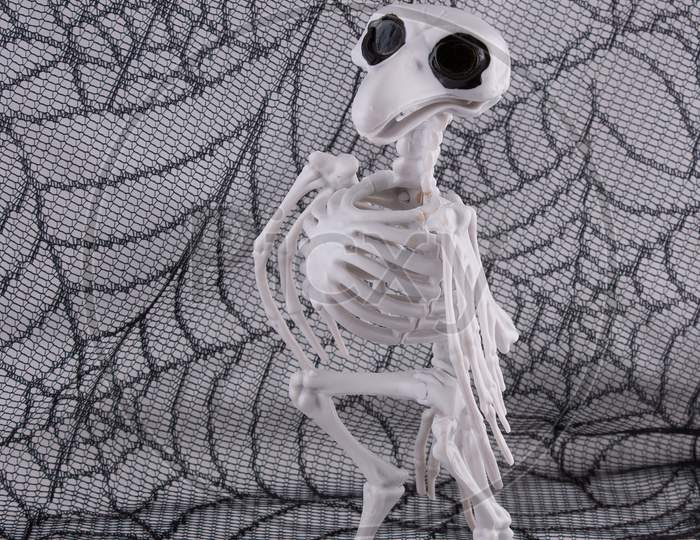 Halloween decor skeleton crow on a spider web background