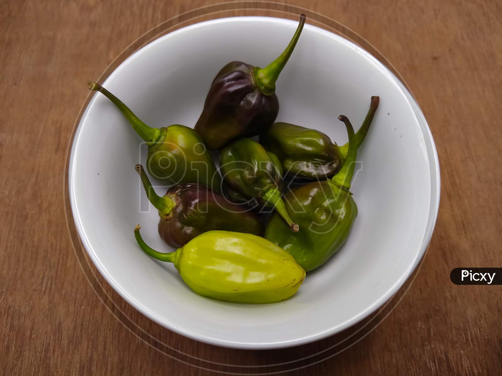 Padron green chilli peppers