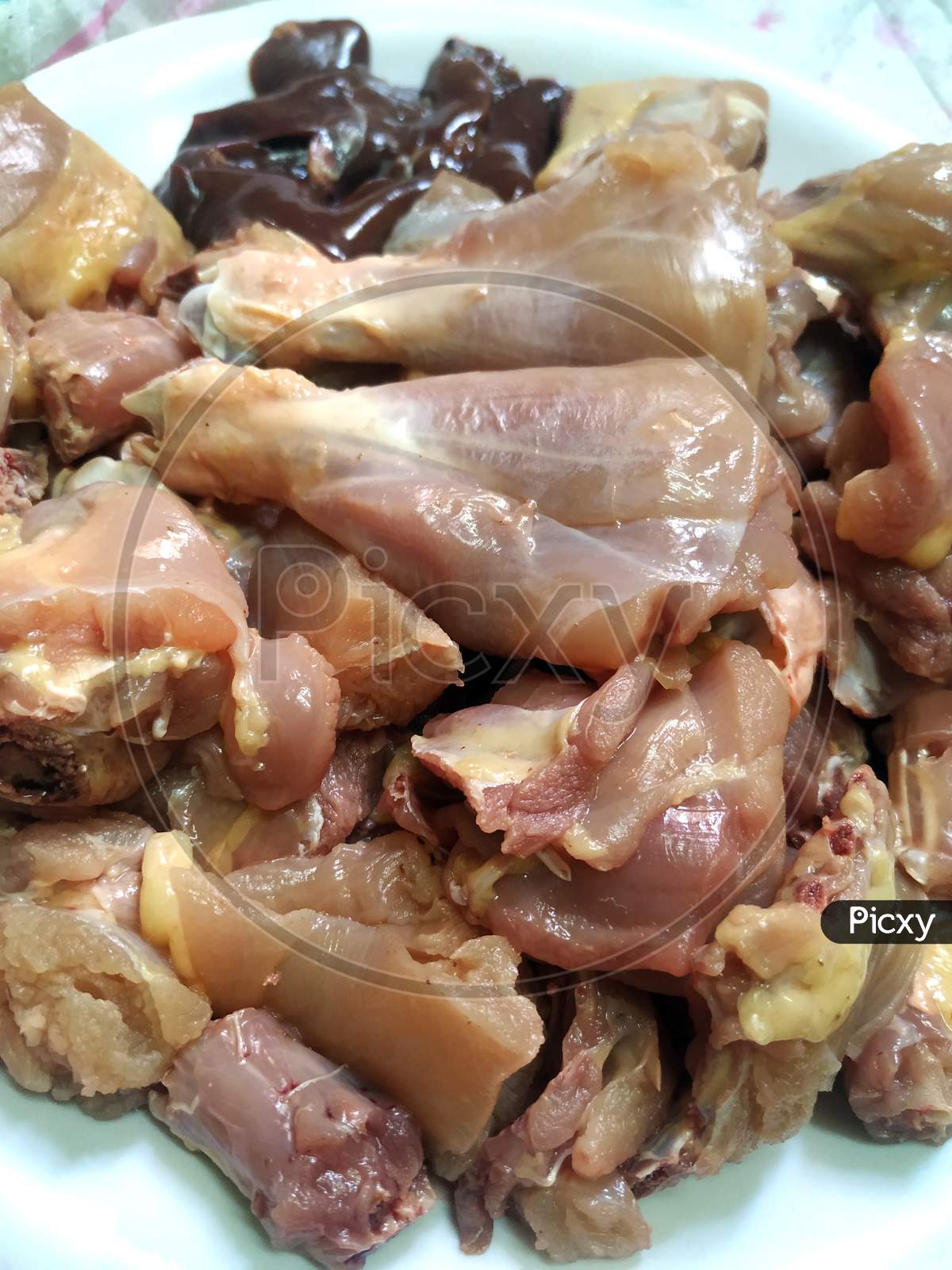 Raw chicken meat cuts