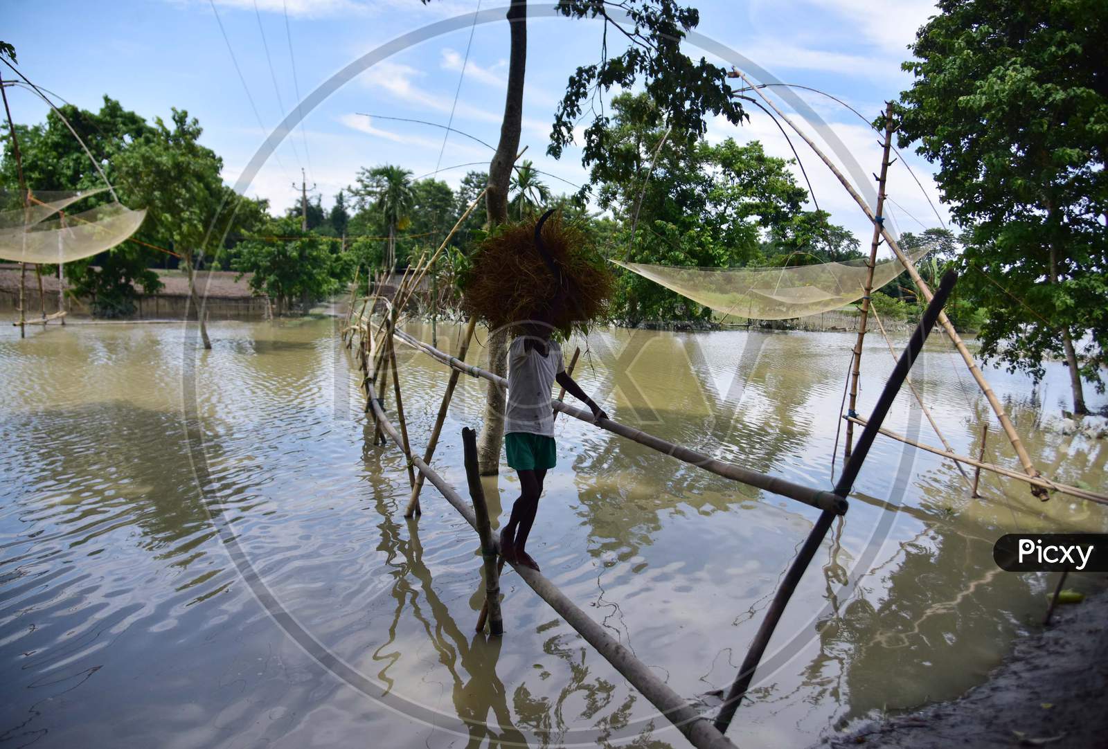 A Villager Uses A Makeshift Bamboo Bridge To Cross A Flooded Area At The Flood-Affected Laokhowa Wildlife Sanctuary In Nagaon District Of Assam On July 25, 2020.