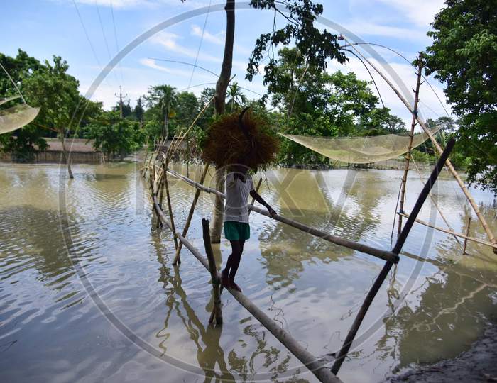 A Villager Uses A Makeshift Bamboo Bridge To Cross A Flooded Area At The Flood-Affected Laokhowa Wildlife Sanctuary In Nagaon District Of Assam On July 25, 2020.
