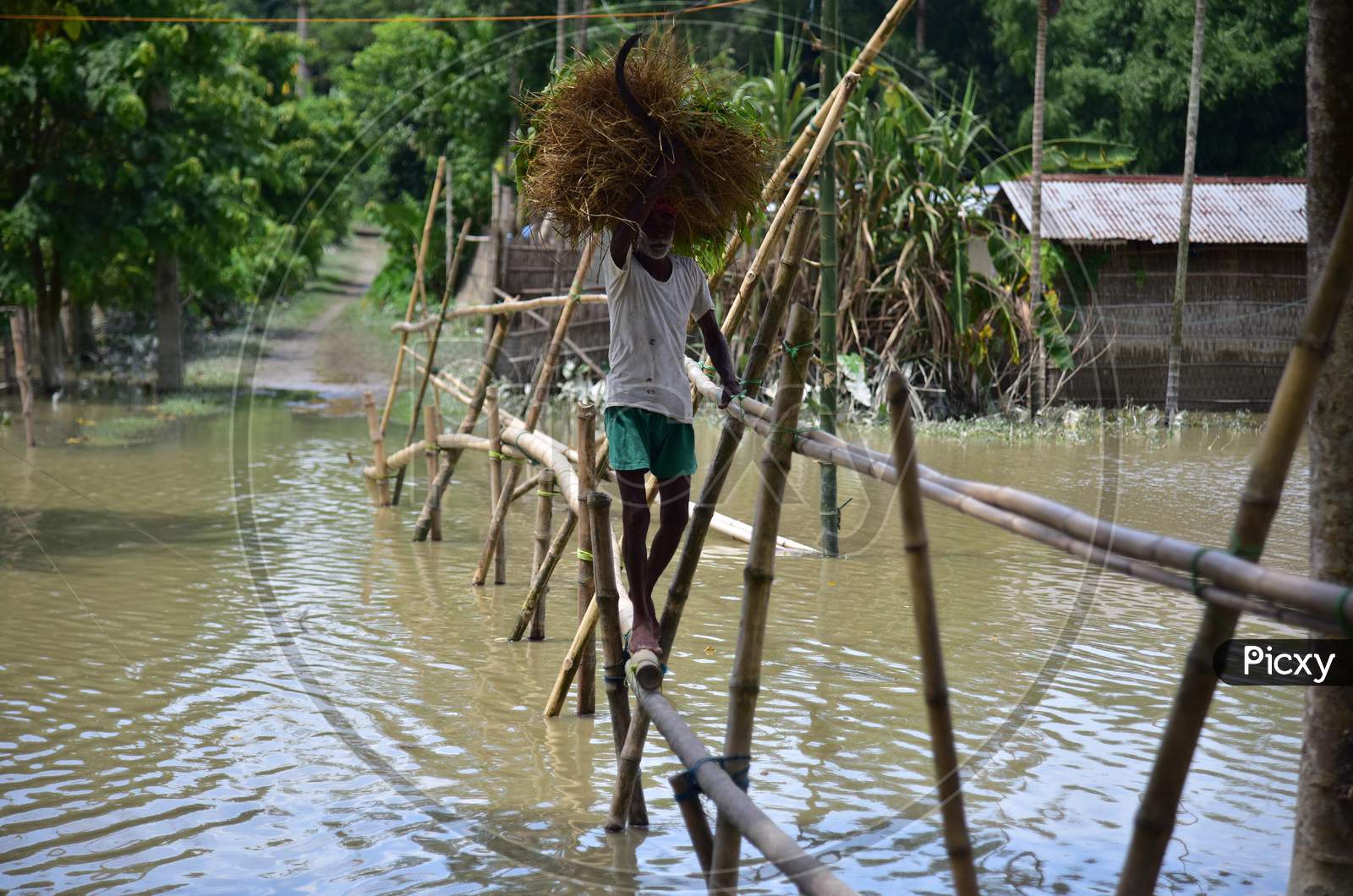 A Villager Uses A Makeshift Bamboo Bridge To Cross A Flooded Area At The Flood-Affected Laokhowa Wildlife Sanctuary In Nagaon District Of Assam On July 25,2020.
