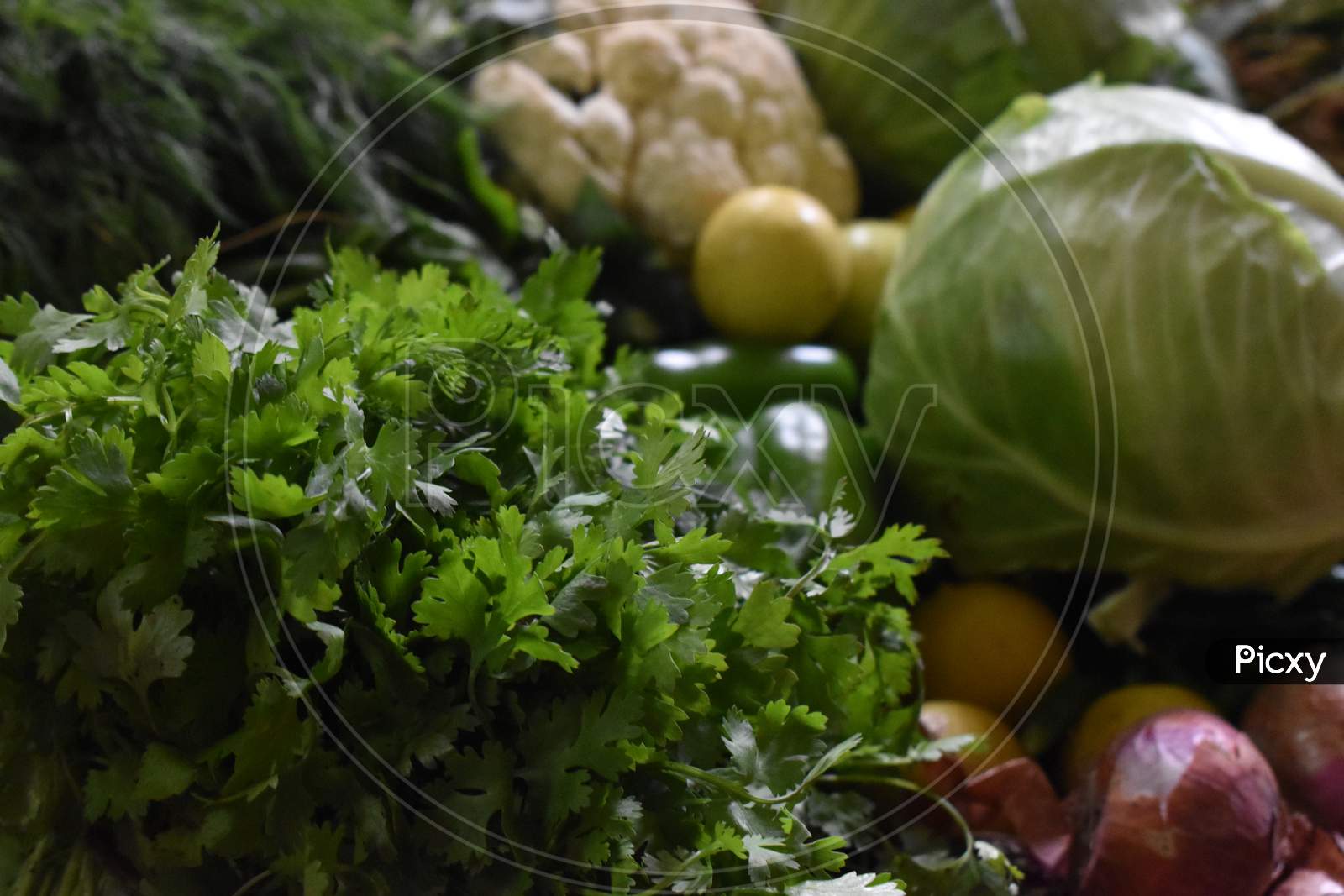 Selective focus shot of Fresh Coriander leaves, Cabbage, Lemon and Onion. Health benefits of Vegetable. Coriander is loaded with antioxidants.