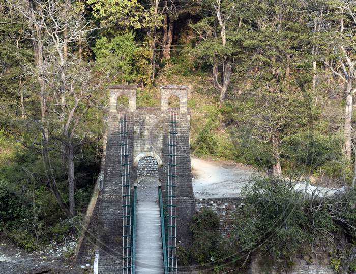 Beautiful Picture Of Bridge In Jungle