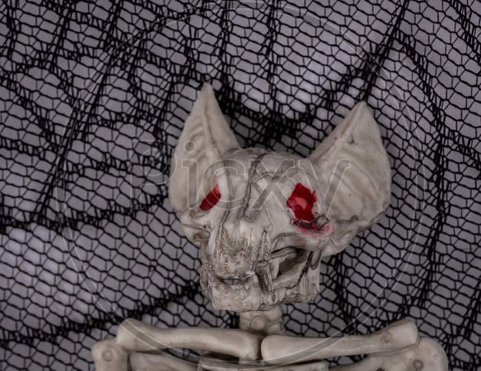Close up of vampire bat skeleton on cobweb background
