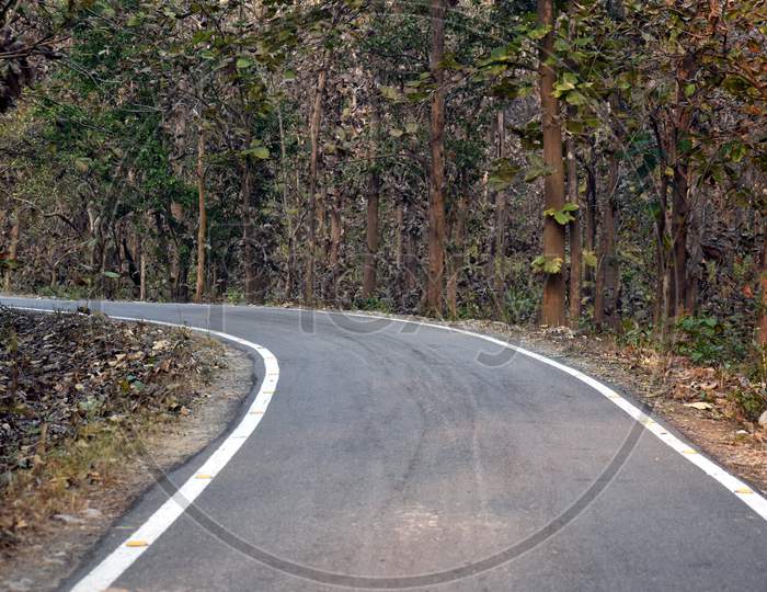 Beautiful Picture Of Clean Road And Jungle In Nainital Uttarakhand India