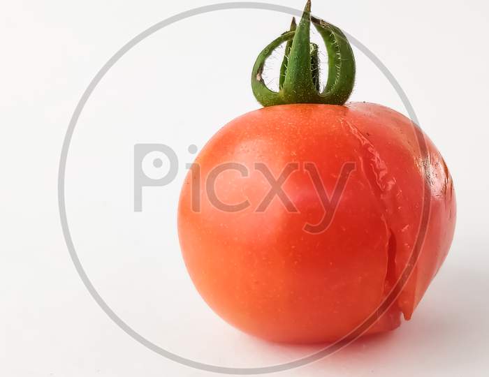 One Red Tomatoes With A White Background. Scientific Name: Solanum Lycopersicum