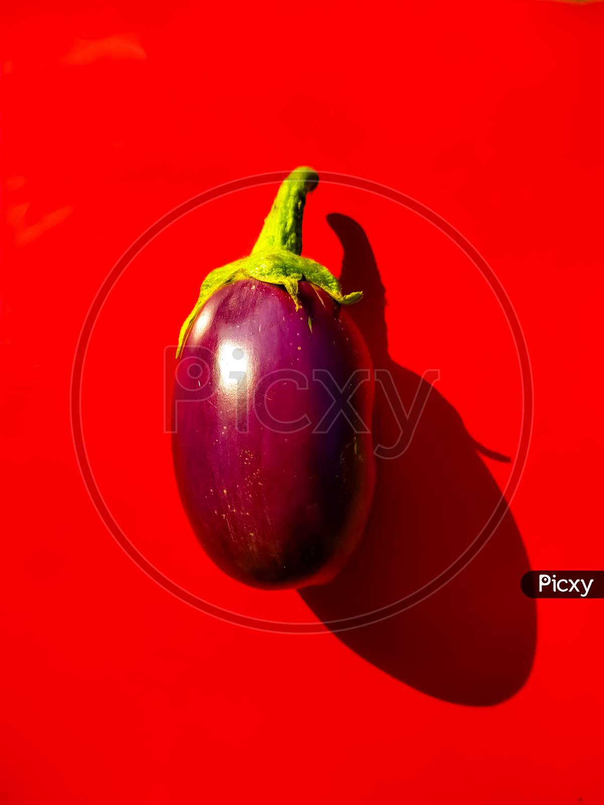 Fresh Brinjal Isolated On Red