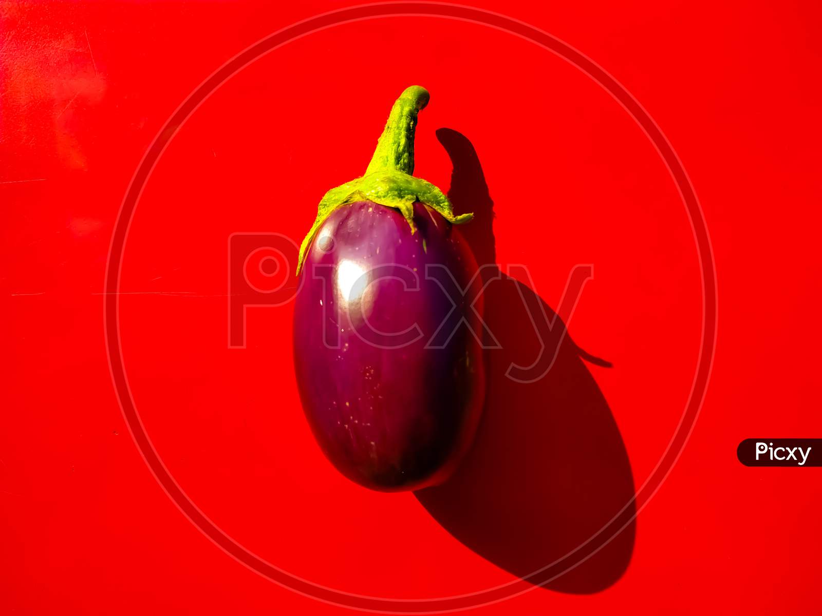 Single Fresh Eggplant On Red Background