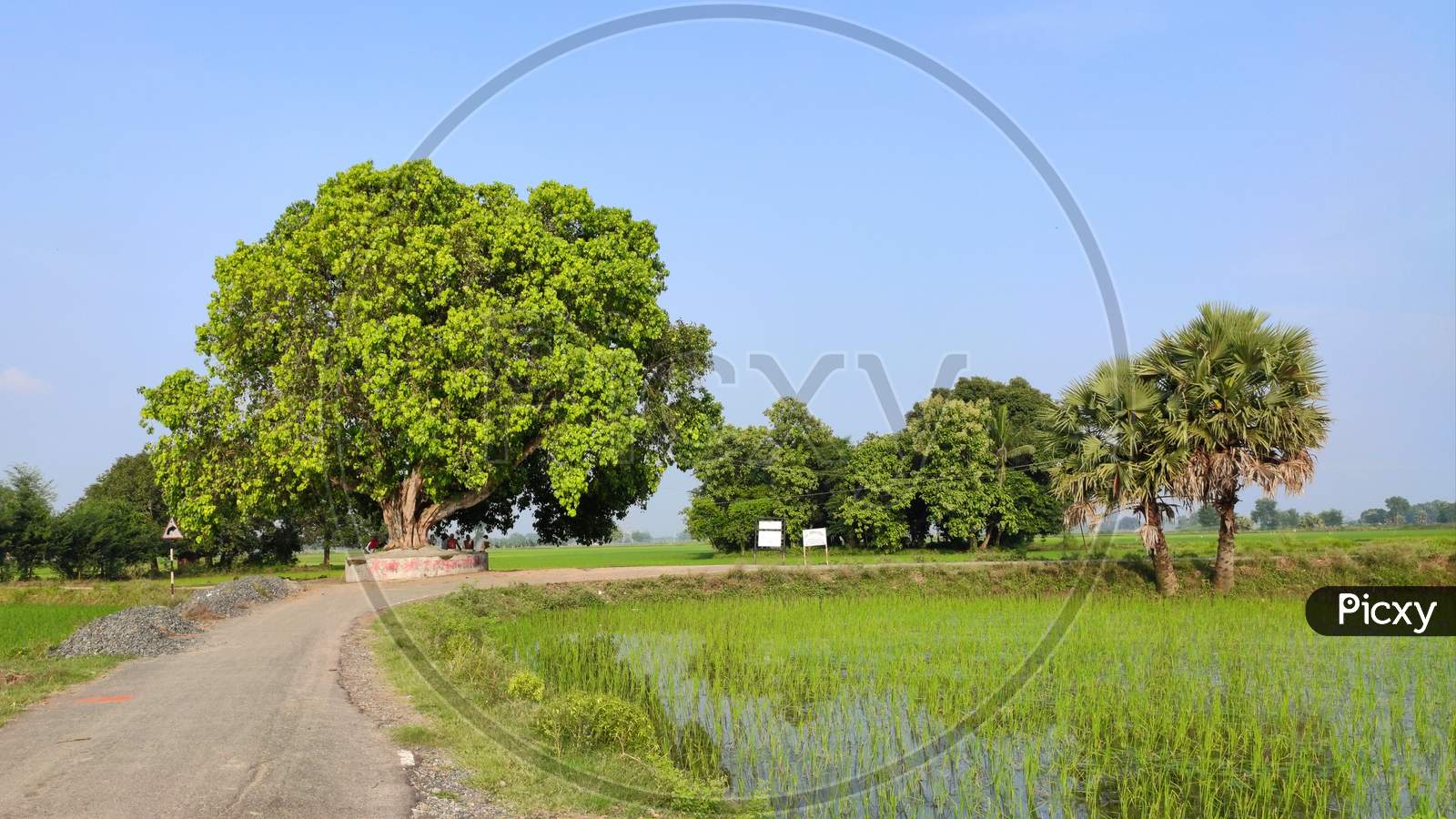Patna, Bihar - 25 July 2020: beautiful countryside landmark