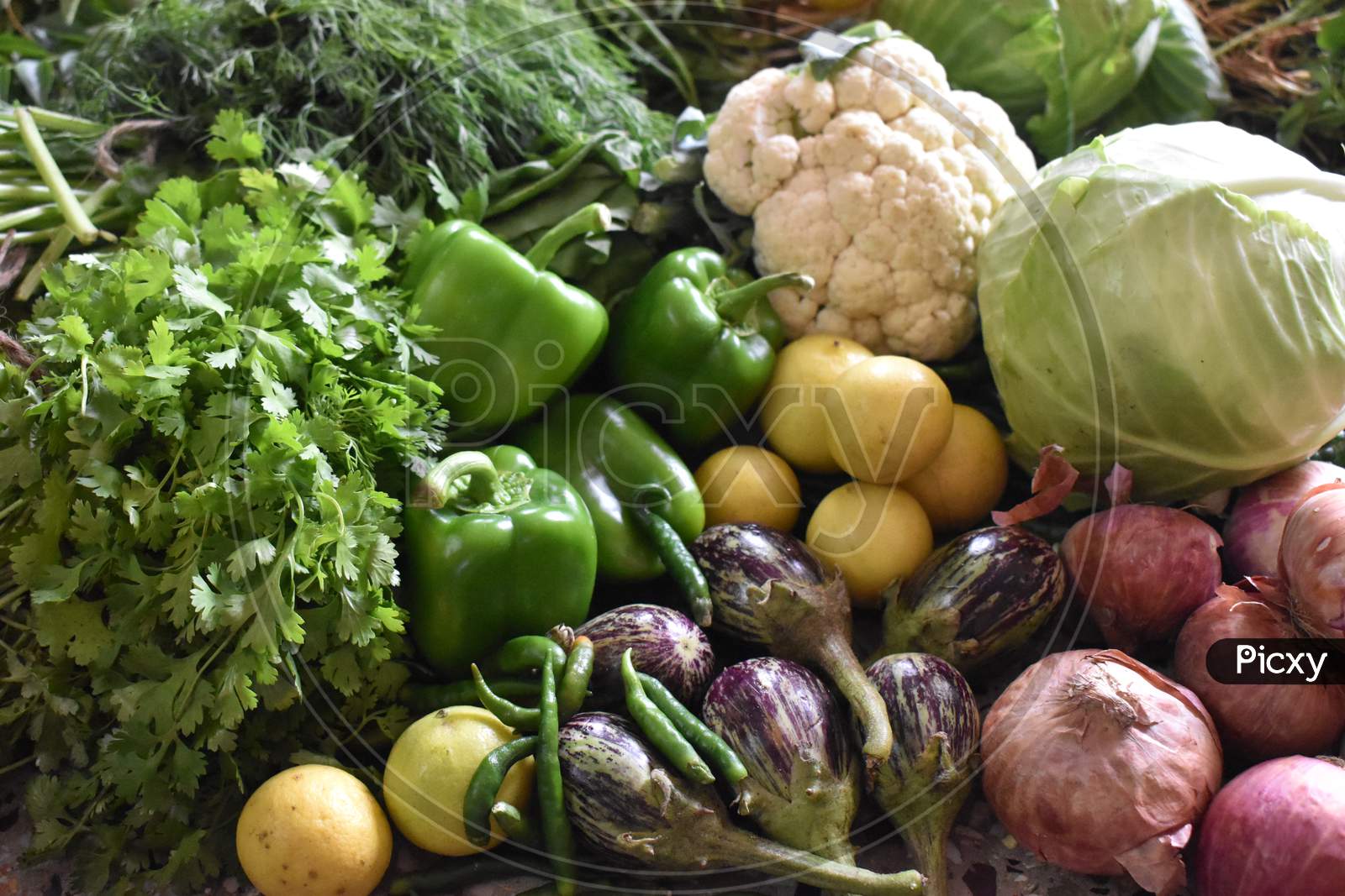 Assortment of fresh vegetables. Capsicum (Simla Mirchi), Lemon, Bringer, Eggplant, Spicy Green Chilly, Onion, Coriander, spinach, Cabbage