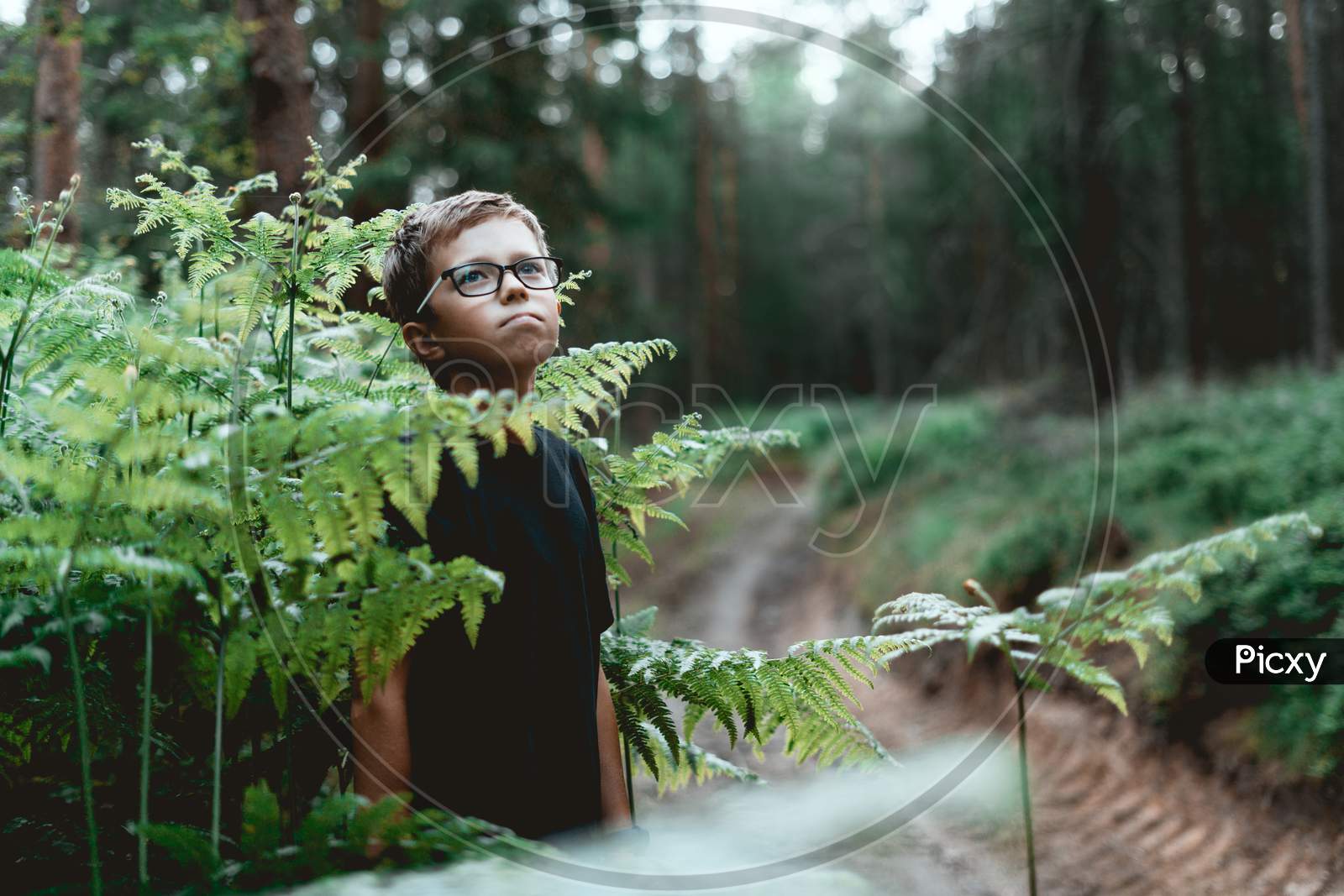 Portrait of teenager boy In the forest.