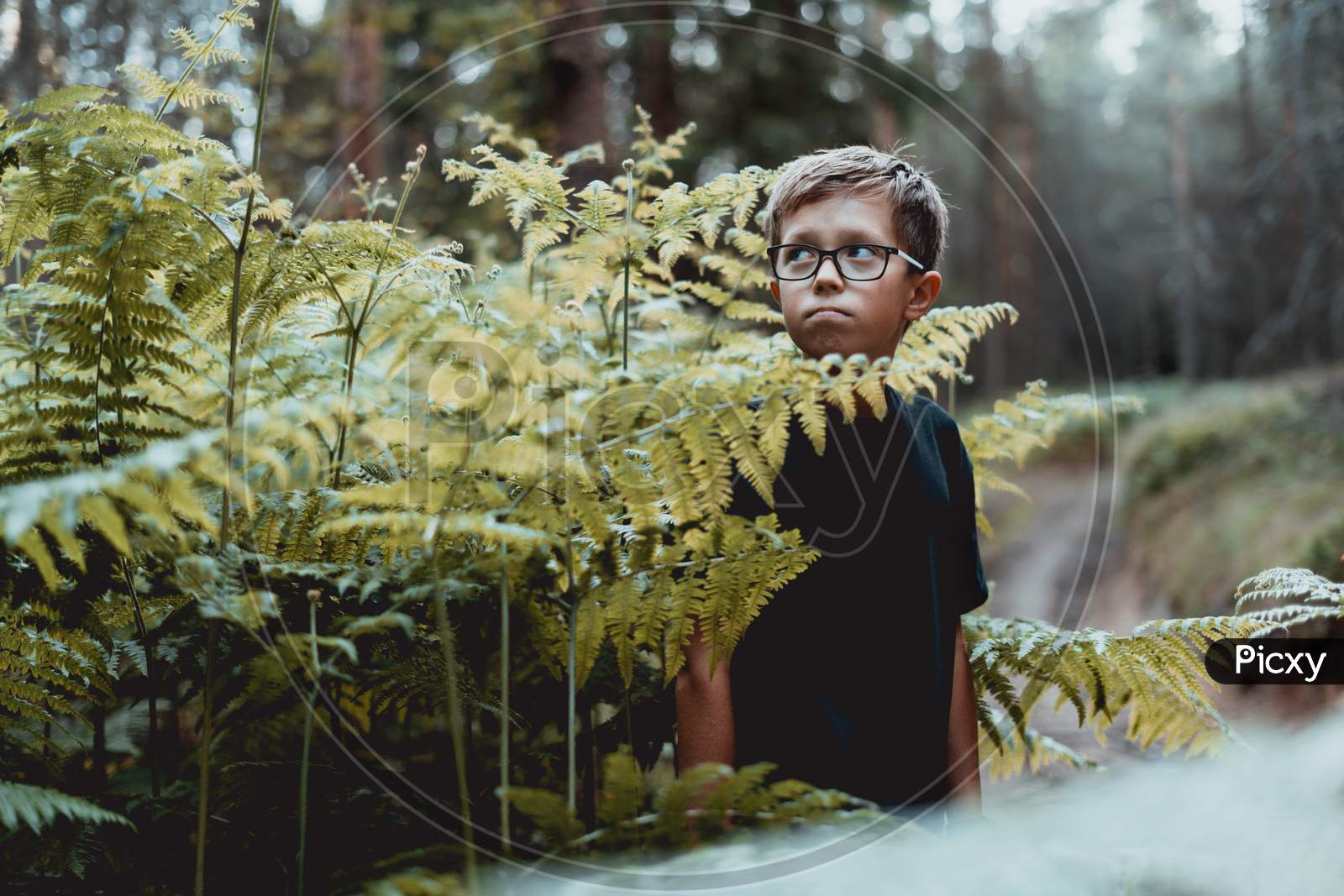 Portrait of teenager boy In the forest.