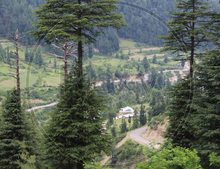 scenic view of the green hills of Bhaderwah